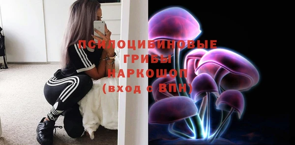 хмурый Михайловск