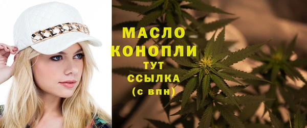 МДПВ Михайлов