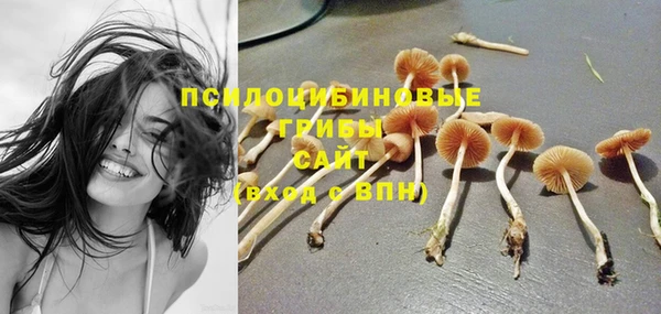 МДПВ Михайлов