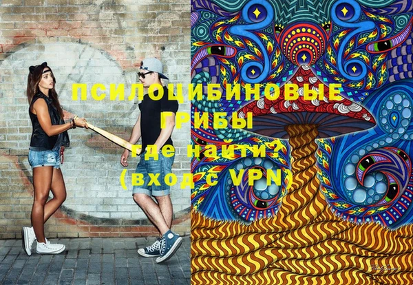 хмурый Михайловск
