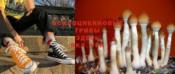 хмурый Михайловск
