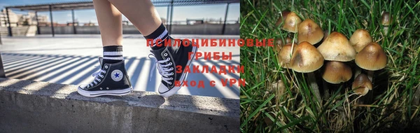 МДПВ Михайлов