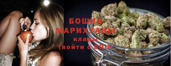 хмурый Михайловск